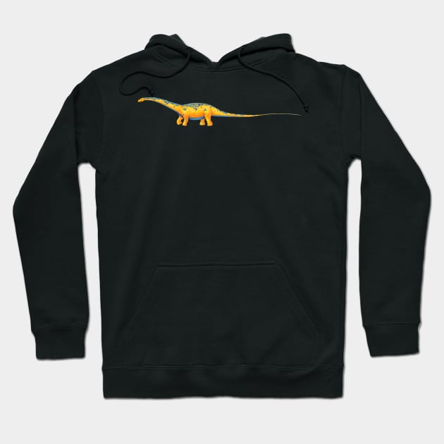 Diplodocus Hoodie by Rowena Aitken